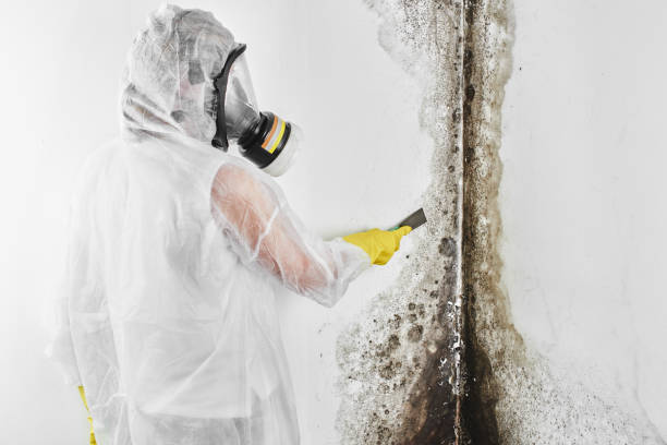 Best Crawl Space Mold Removal  in Seven Points, TX