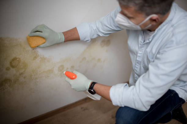 Best Mold Testing  in Seven Points, TX