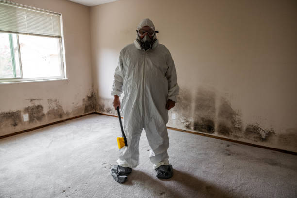 Best Certified Mold Removal  in Seven Points, TX